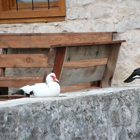 Heritage House Konak * Stolac